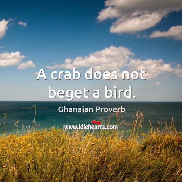 A crab does not beget a bird. Ghanaian Proverbs Image