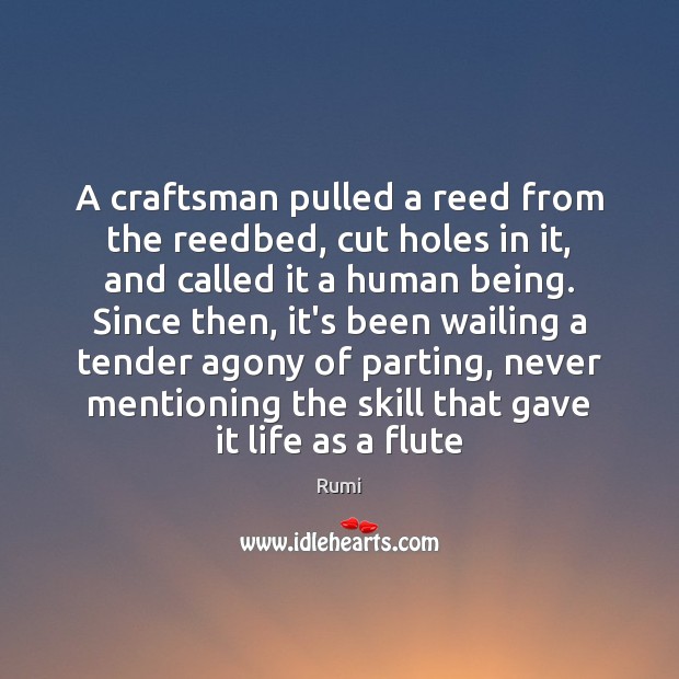 A craftsman pulled a reed from the reedbed, cut holes in it, Rumi Picture Quote