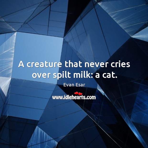 A creature that never cries over spilt milk: a cat. Evan Esar Picture Quote