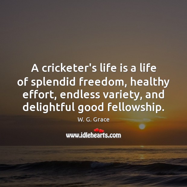 A cricketer’s life is a life of splendid freedom, healthy effort, endless Effort Quotes Image