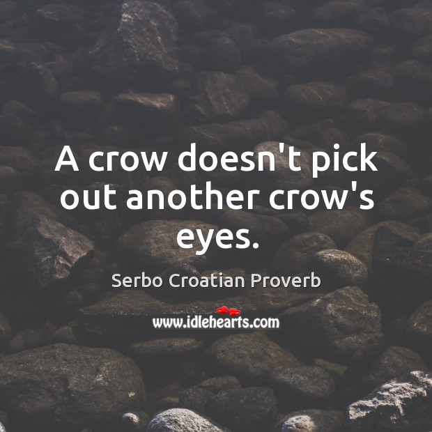 A crow doesn’t pick out another crow’s eyes. Serbo Croatian Proverbs Image