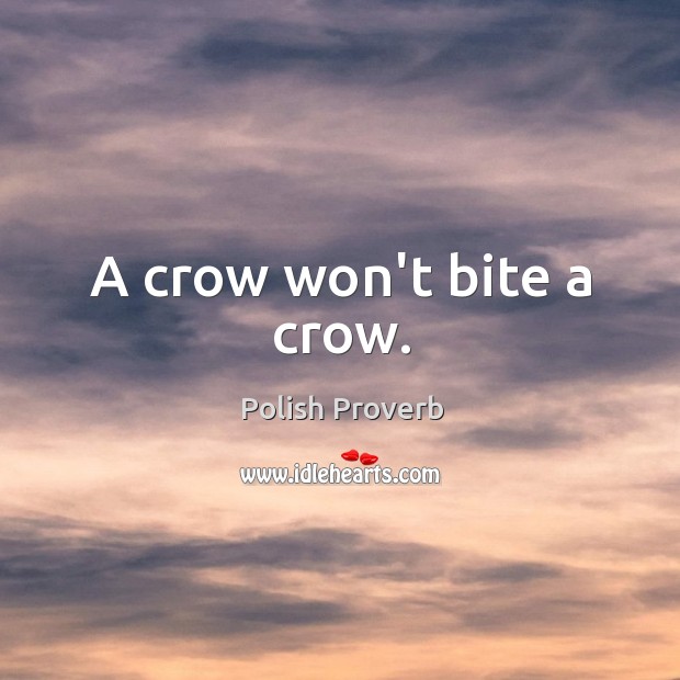A crow won’t bite a crow. Polish Proverbs Image