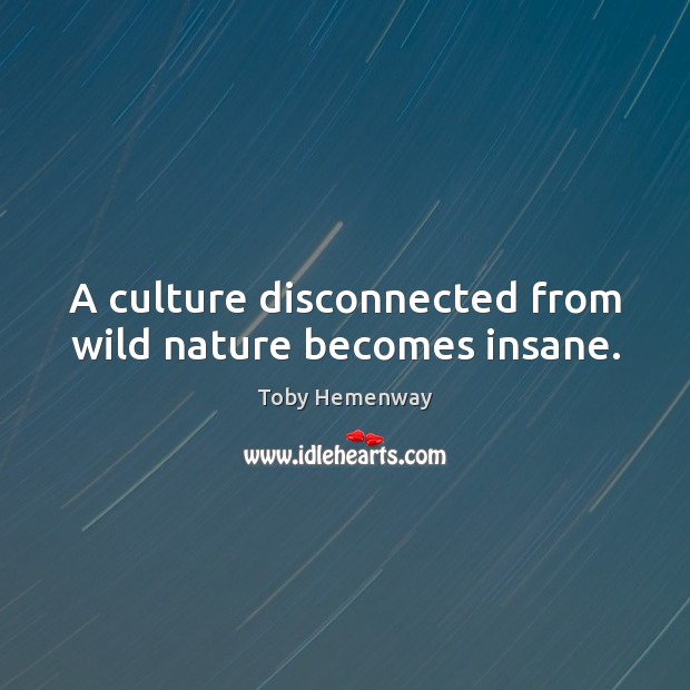 A culture disconnected from wild nature becomes insane. Toby Hemenway Picture Quote