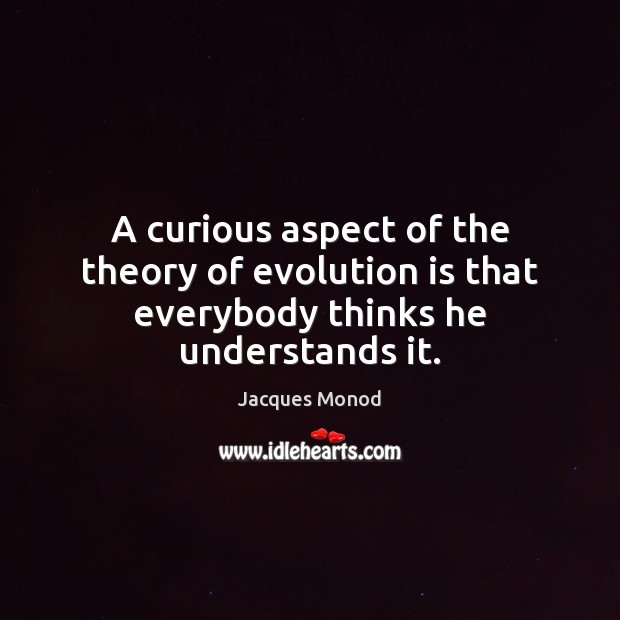 A curious aspect of the theory of evolution is that everybody thinks he understands it. Jacques Monod Picture Quote