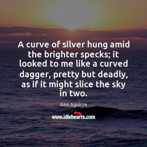 A curve of silver hung amid the brighter specks; it looked to Ann Aguirre Picture Quote