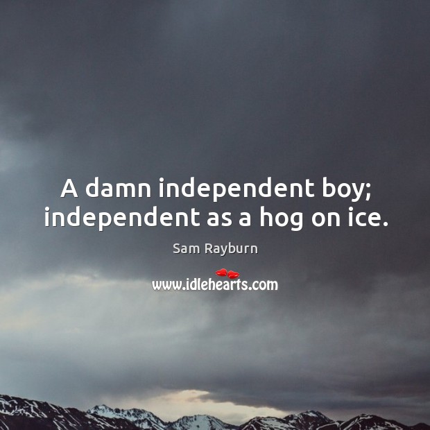 A damn independent boy; independent as a hog on ice. Image