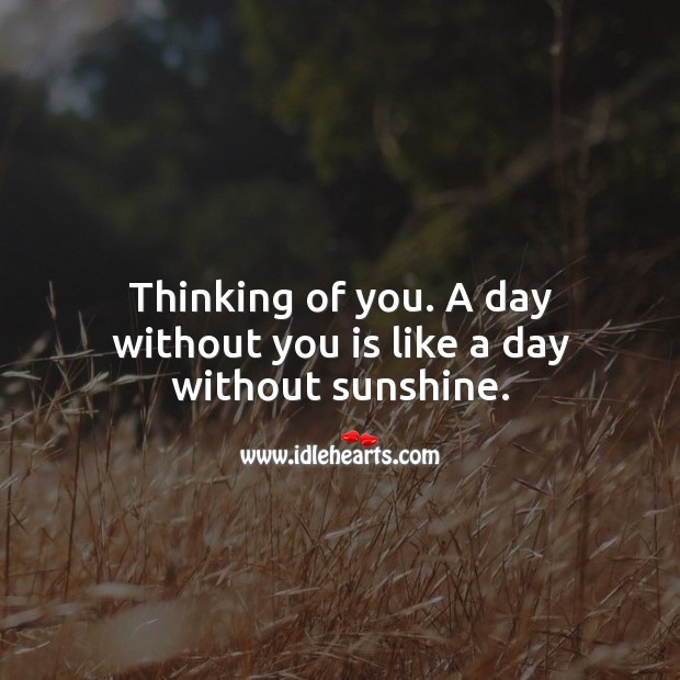 A day without you is like a day without sunshine. Thinking of You Quotes Image