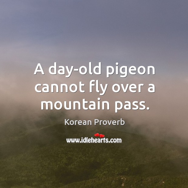 A day-old pigeon cannot fly over a mountain pass. Korean Proverbs Image