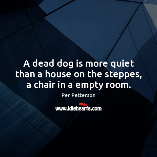 A dead dog is more quiet than a house on the steppes, a chair in a empty room. Image