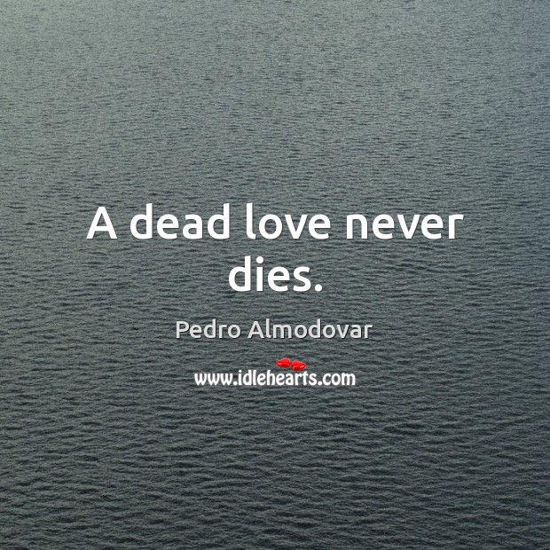 A dead love never dies. Pedro Almodovar Picture Quote