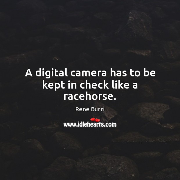A digital camera has to be kept in check like a racehorse. Image