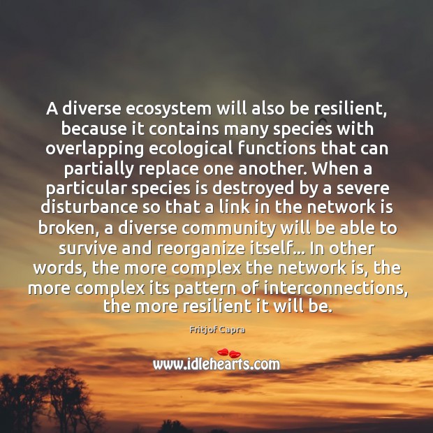 A diverse ecosystem will also be resilient, because it contains many species Fritjof Capra Picture Quote
