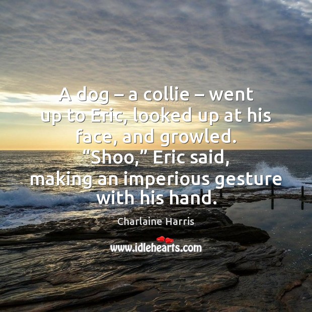 A dog – a collie – went up to Eric, looked up at his Image