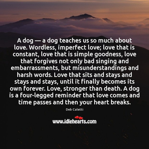 A dog — a dog teaches us so much about love. Wordless, imperfect Image