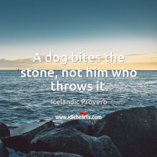 A dog bites the stone, not him who throws it. Icelandic Proverbs Image