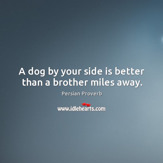 A dog by your side is better than a brother miles away. Persian Proverbs Image