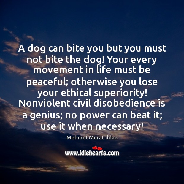 A dog can bite you but you must not bite the dog! Mehmet Murat Ildan Picture Quote
