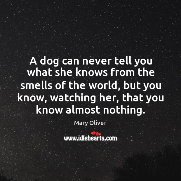 A dog can never tell you what she knows from the smells Mary Oliver Picture Quote