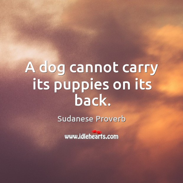 A dog cannot carry its puppies on its back. Sudanese Proverbs Image