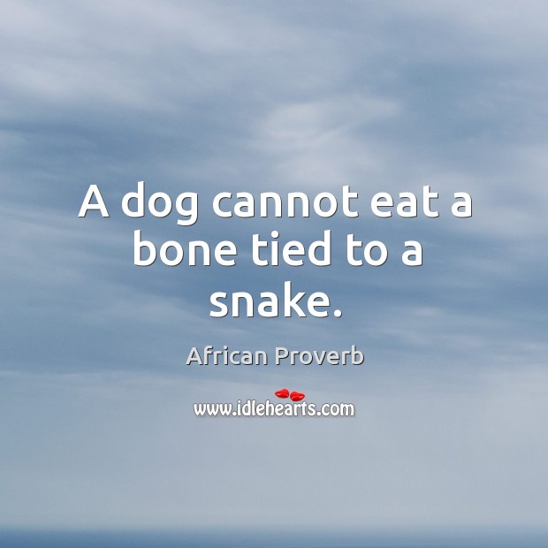 A dog cannot eat a bone tied to a snake. Image
