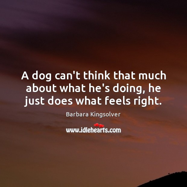 A dog can’t think that much about what he’s doing, he just does what feels right. 