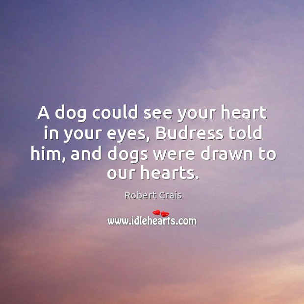 A dog could see your heart in your eyes, Budress told him, Robert Crais Picture Quote