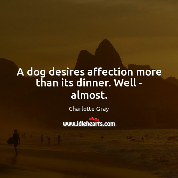 A dog desires affection more than its dinner. Well – almost. Image