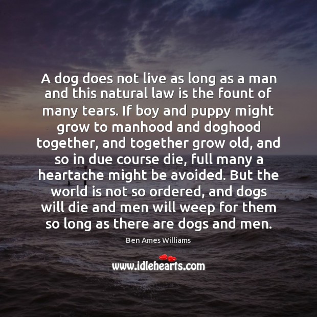 A dog does not live as long as a man and this Image