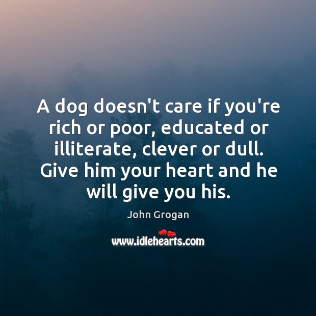 A dog doesn’t care if you’re rich or poor, educated or illiterate, Clever Quotes Image