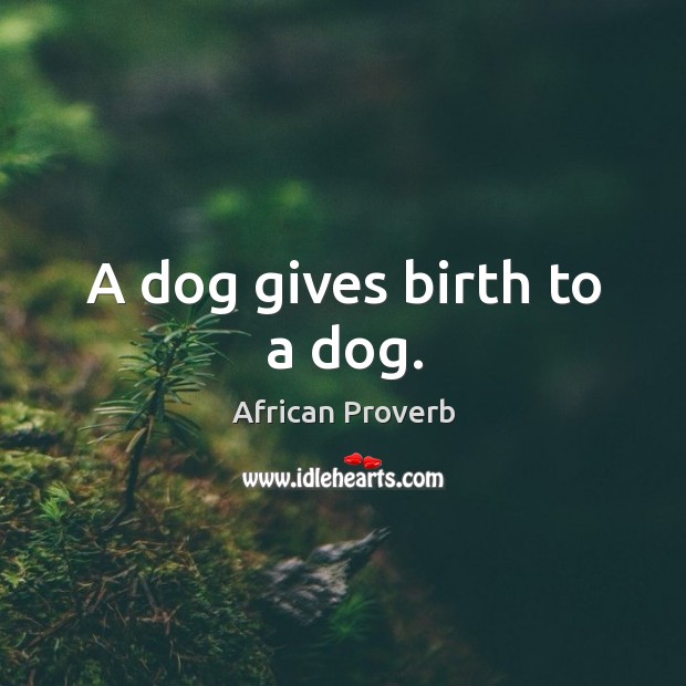 A dog gives birth to a dog. Image
