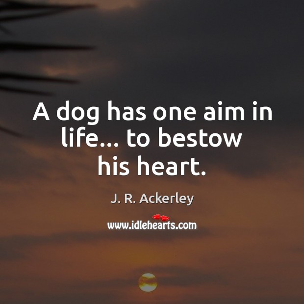A dog has one aim in life… to bestow his heart. J. R. Ackerley Picture Quote
