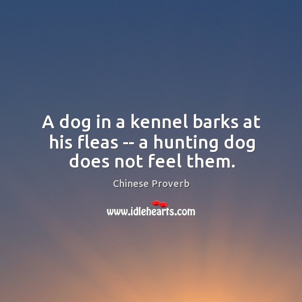 A dog in a kennel barks at his fleas — a hunting dog does not feel them. Chinese Proverbs Image