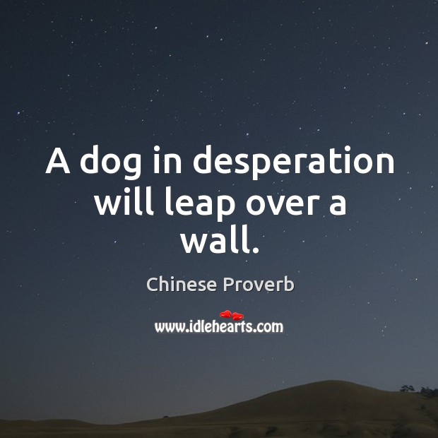 A dog in desperation will leap over a wall. Chinese Proverbs Image