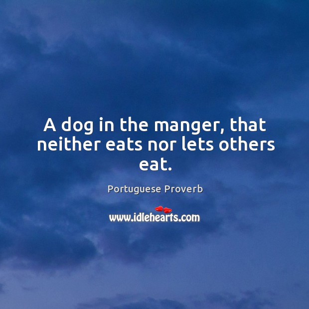 A dog in the manger, that neither eats nor lets others eat. Portuguese Proverbs Image