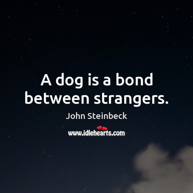 A dog is a bond between strangers. John Steinbeck Picture Quote