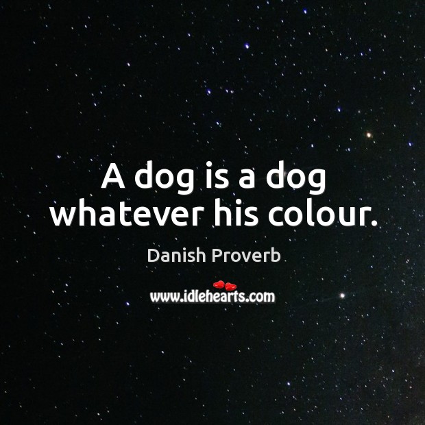 A dog is a dog whatever his colour. Image