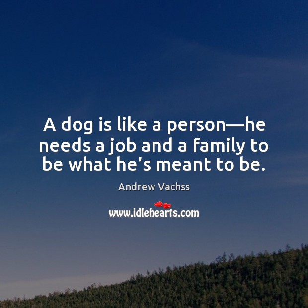 A dog is like a person—he needs a job and a family to be what he’s meant to be. Andrew Vachss Picture Quote