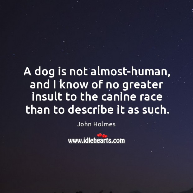A dog is not almost-human, and I know of no greater insult to the canine race than to describe it as such. John Holmes Picture Quote