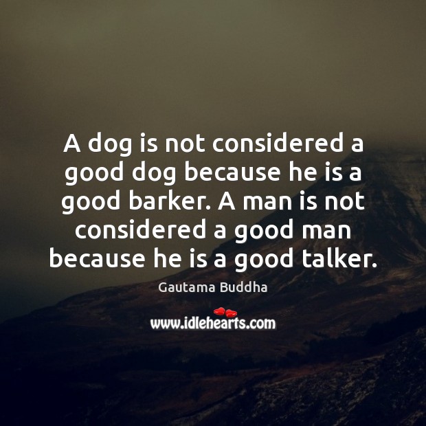 A dog is not considered a good dog because he is a Gautama Buddha Picture Quote