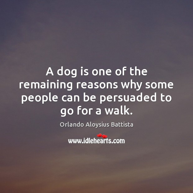 A dog is one of the remaining reasons why some people can be persuaded to go for a walk. Image