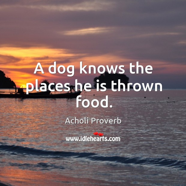 A dog knows the places he is thrown food. Acholi Proverbs Image