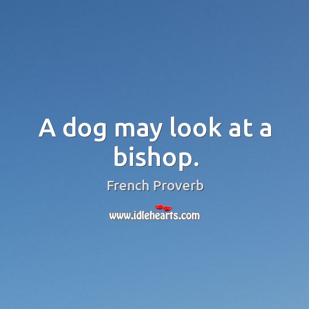 A dog may look at a bishop. Image
