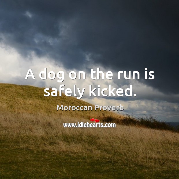 A dog on the run is safely kicked. Moroccan Proverbs Image