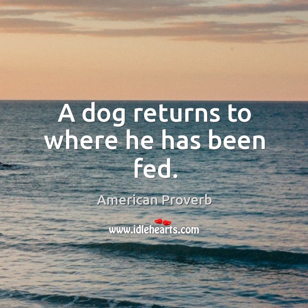A dog returns to where he has been fed. Image