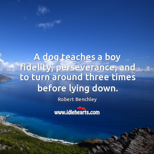 A dog teaches a boy fidelity, perseverance, and to turn around three times before lying down. Robert Benchley Picture Quote