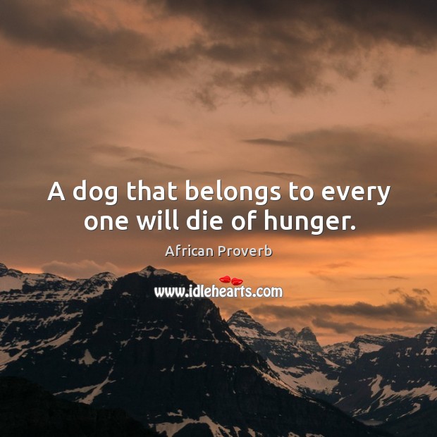 A dog that belongs to every one will die of hunger. African Proverbs Image