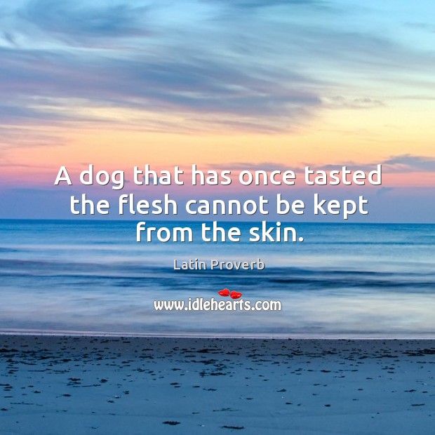 A dog that has once tasted the flesh cannot be kept from the skin. Latin Proverbs Image