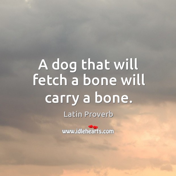 A dog that will fetch a bone will carry a bone. Latin Proverbs Image