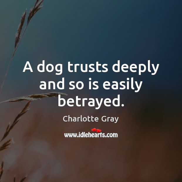 A dog trusts deeply and so is easily betrayed. Image
