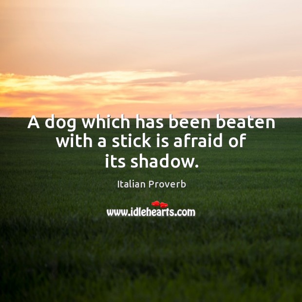 A dog which has been beaten with a stick is afraid of its shadow. Image